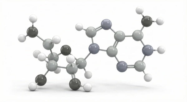 Adenosina